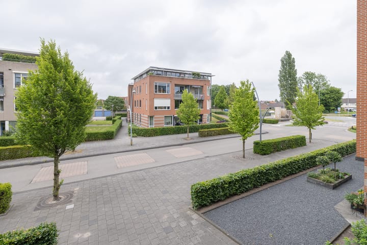 Foto 13 van Lobeliastraat 19