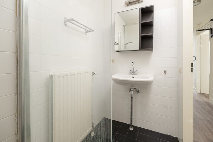 Foto 18 van Lobeliastraat 19