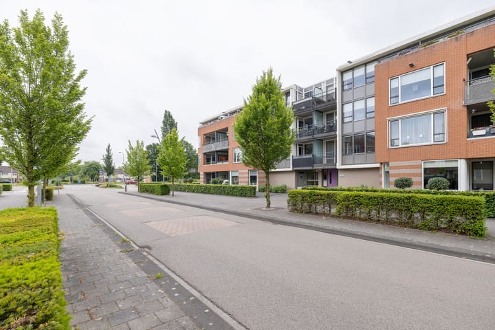 Foto 30 van Lobeliastraat 19