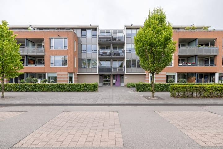 Foto 31 van Lobeliastraat 19