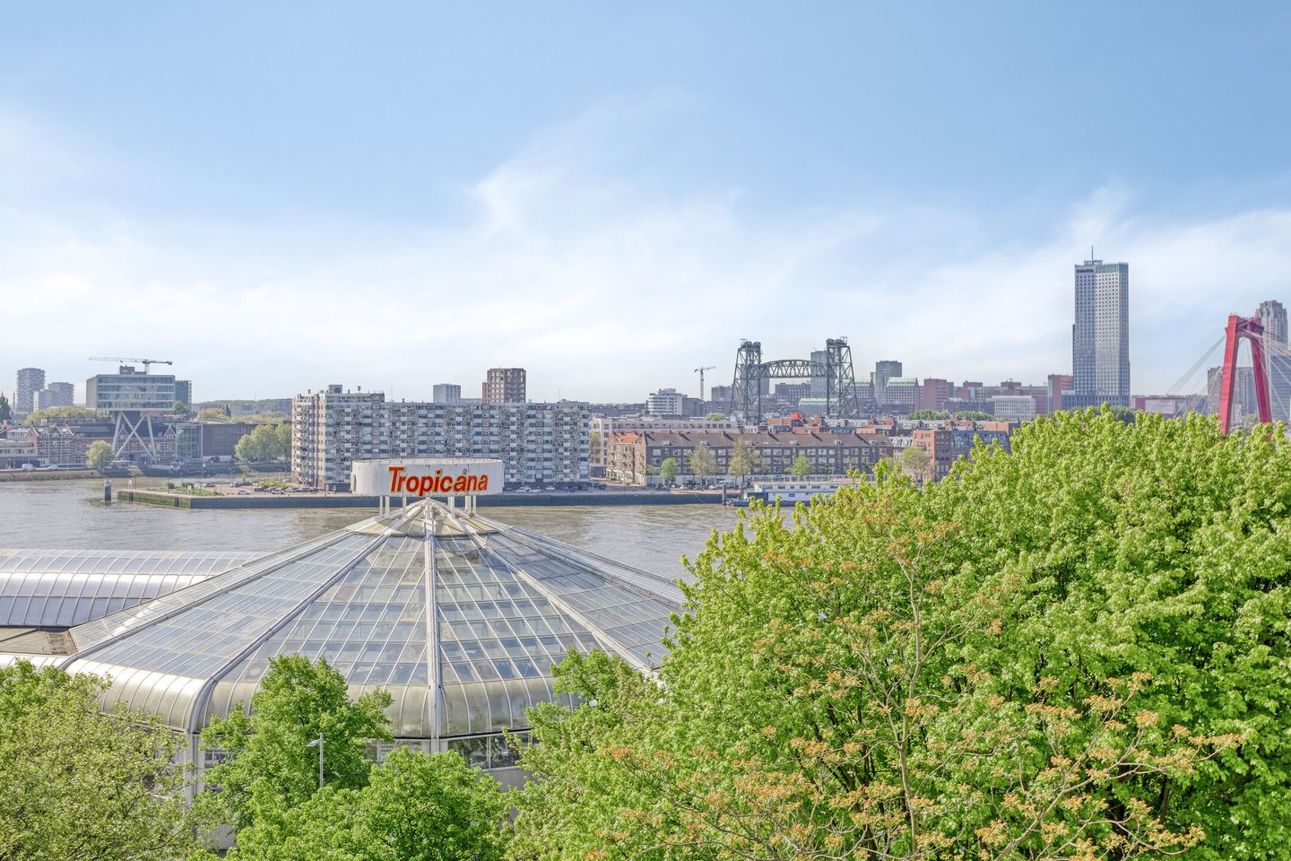 Foto 20 van 's-Lands werf 277