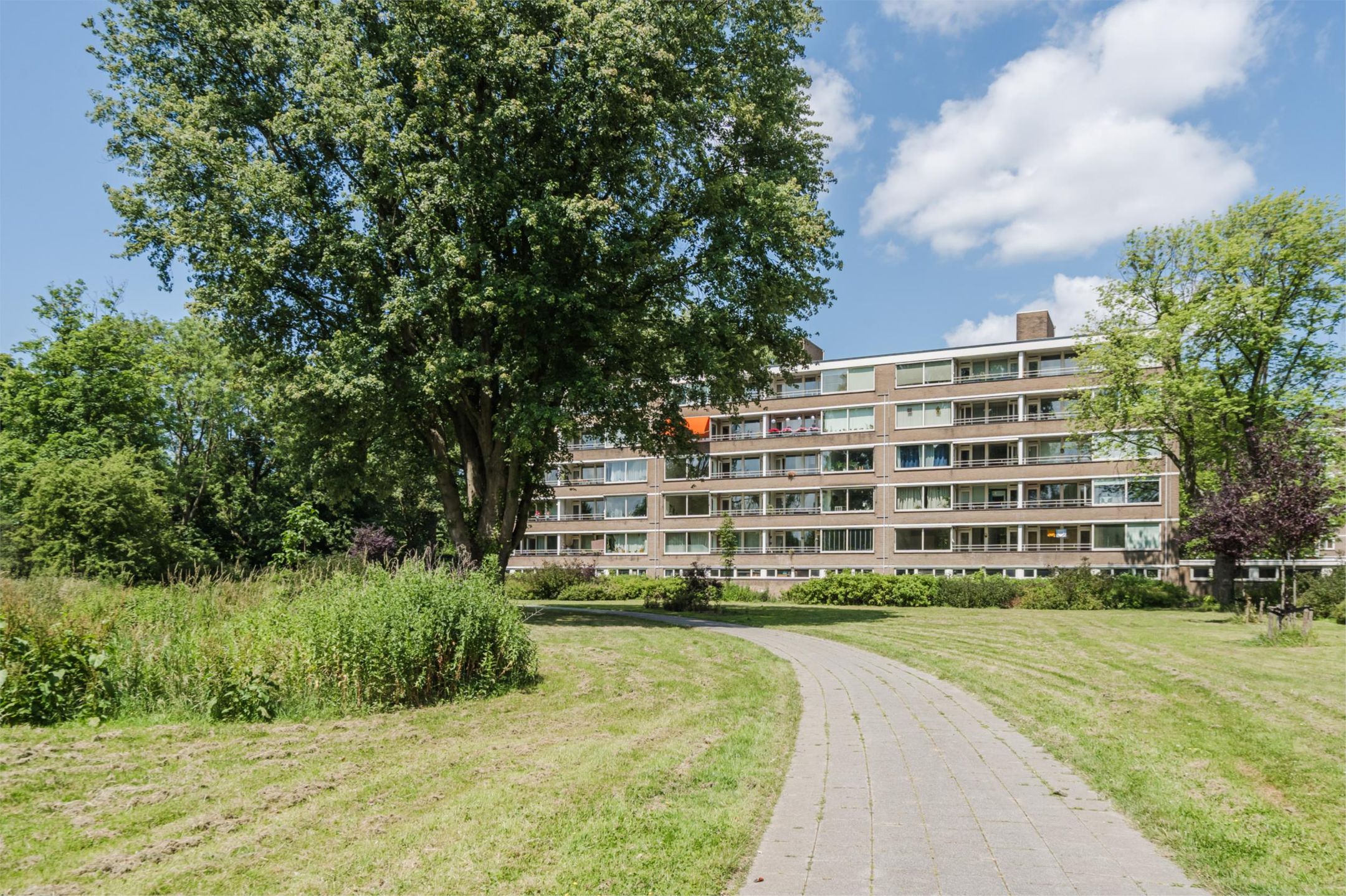 Foto 3 van Van Bassenstraat 110