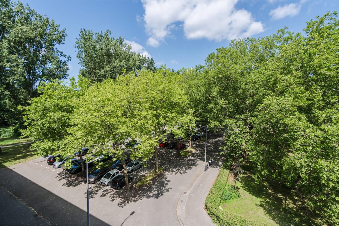 Foto 22 van Van Bassenstraat 110