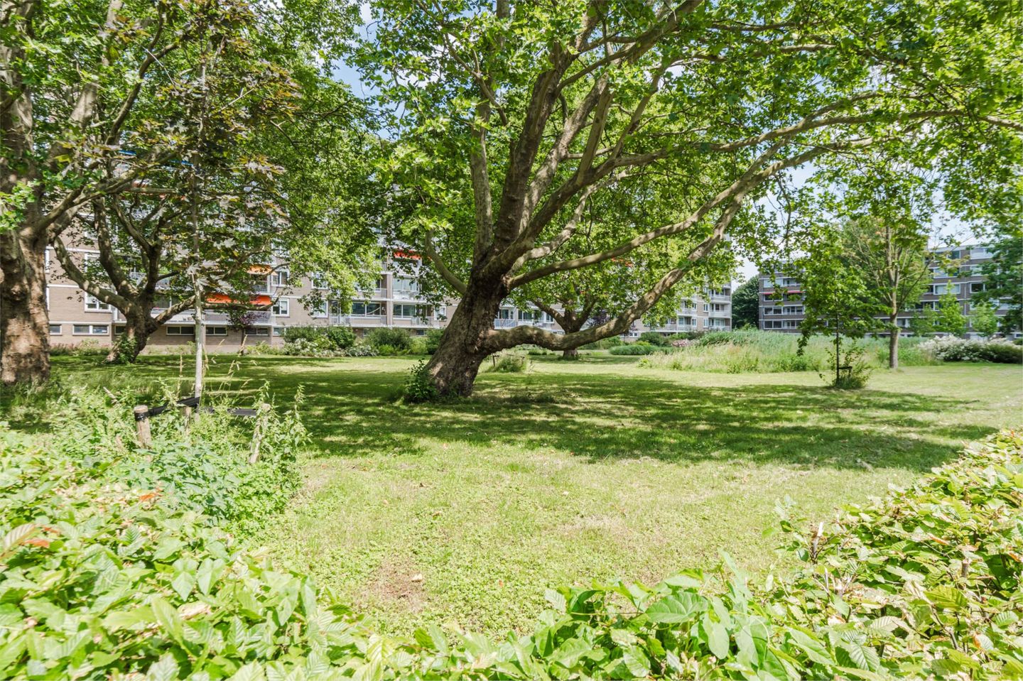 Foto 40 van Van Bassenstraat 110