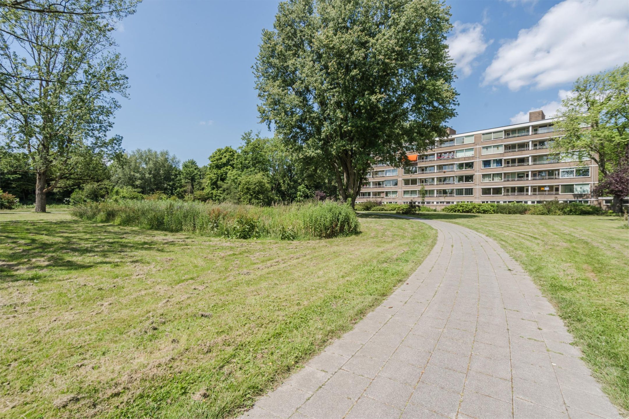 Foto 42 van Van Bassenstraat 110