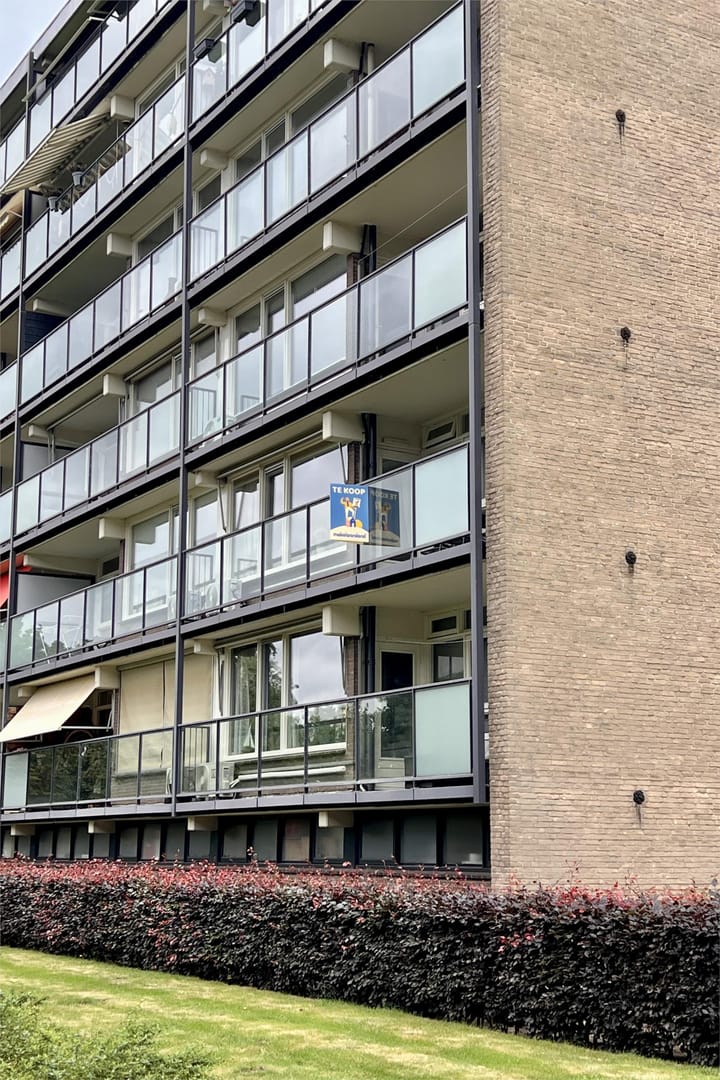 Foto 40 van Mozartstraat 230