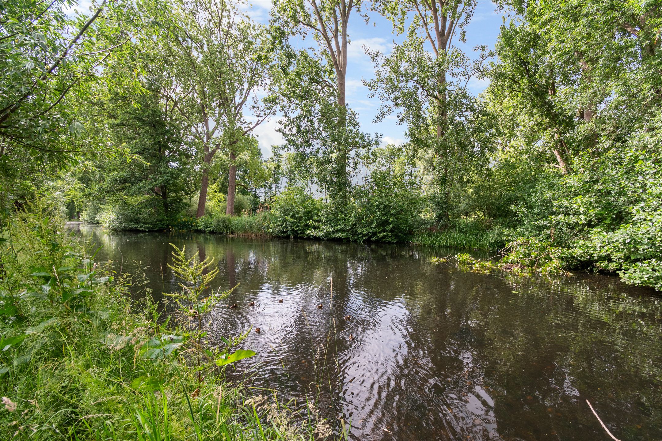 Foto 6 van Voorwillenseweg 143