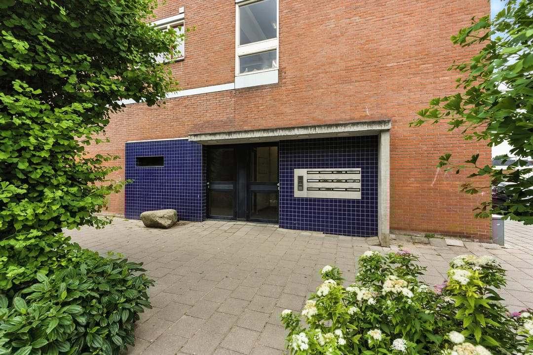 Photo 43 of Nedersassen 8