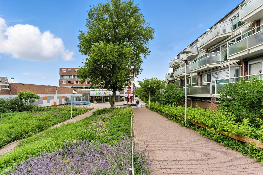 Photo 46 of Nedersassen 8