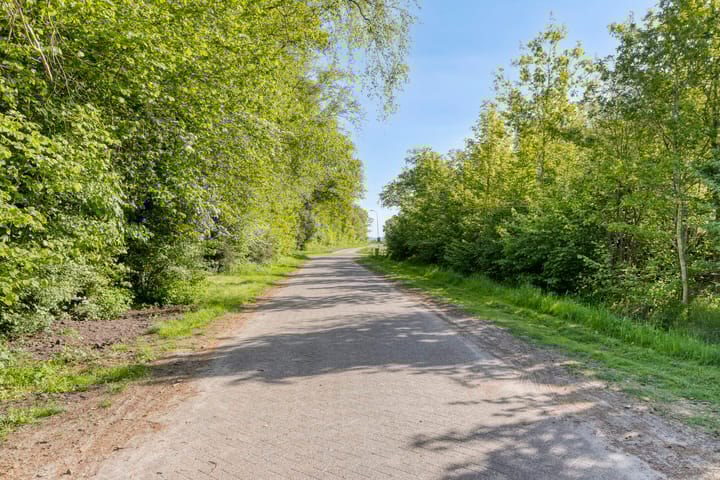 Foto 40 van Eexterkoele 4