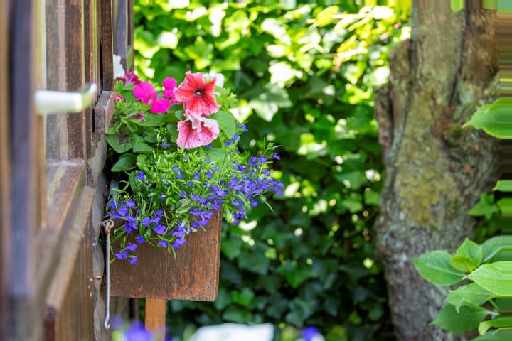 Foto 32 van Horrelshoogte 10