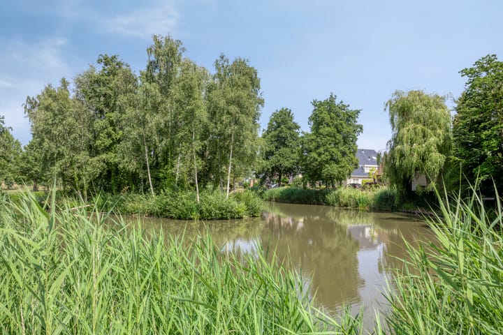 Foto 28 van Schout van Raesfeltstraat 17