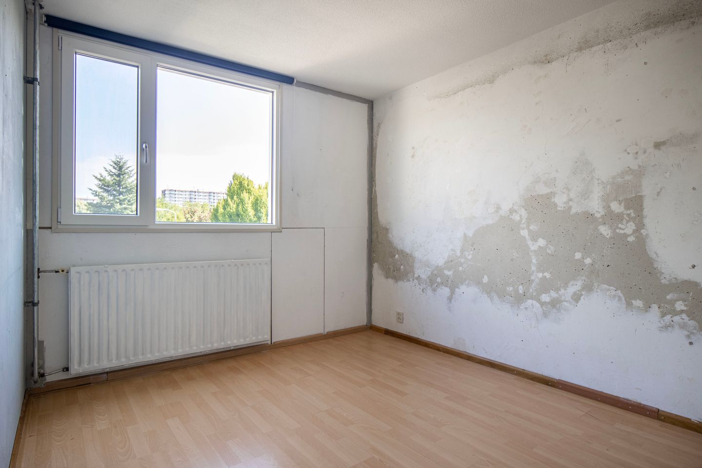 Photo 14 of Eeckhoutstraat 20