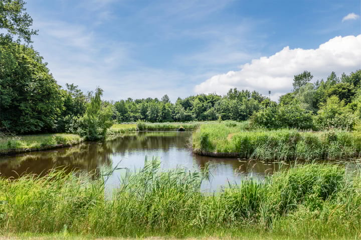 Foto 57 van Gronddiep 17