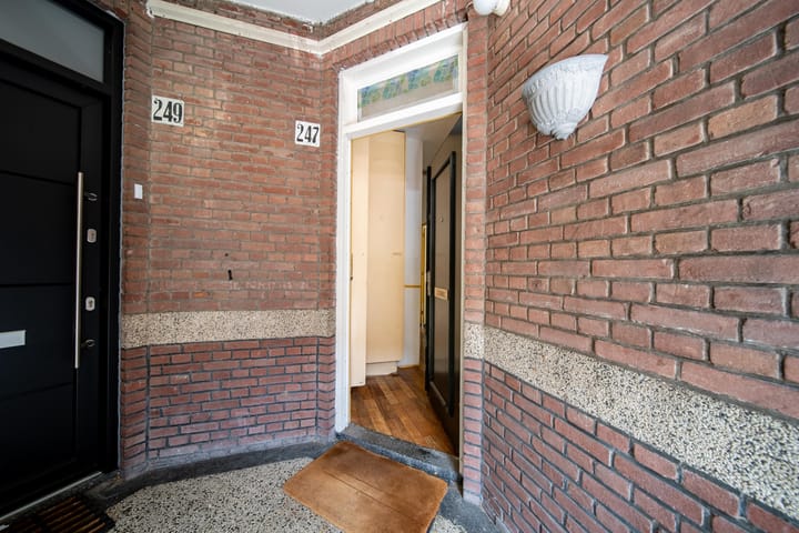 Foto 8 van Linnaeusstraat 247