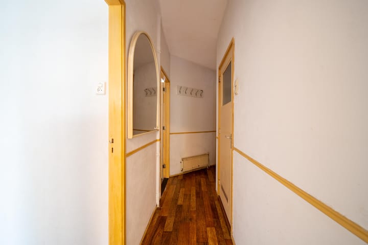 Foto 20 van Linnaeusstraat 247