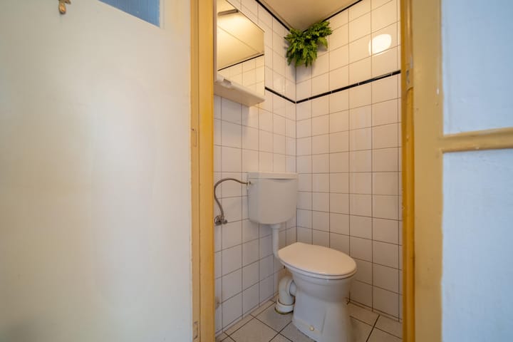 Foto 21 van Linnaeusstraat 247