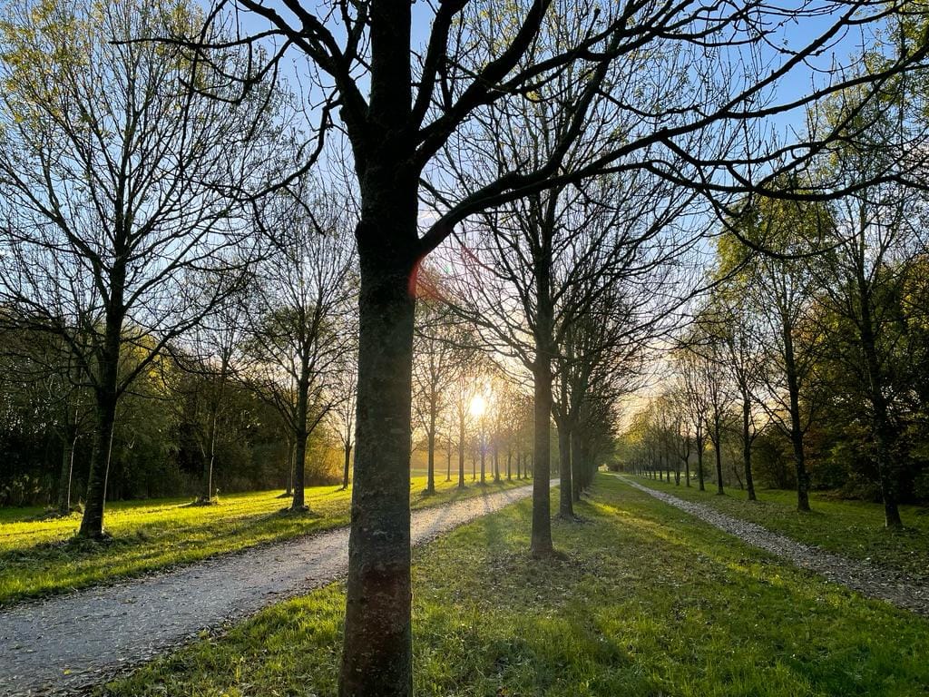 Foto 36 van Flierveld 6