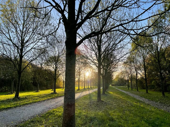 Foto 36 van Flierveld 6