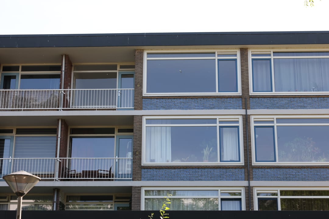 Foto 2 van Dovenetellaan 41