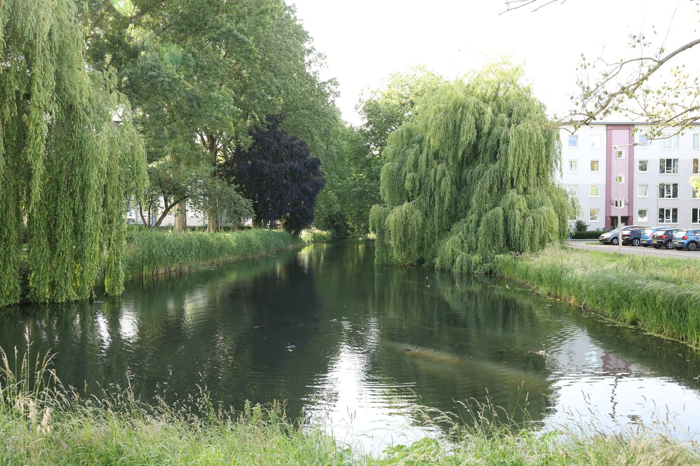 Foto 29 van Dovenetellaan 41