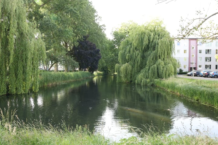 Foto 29 van Dovenetellaan 41