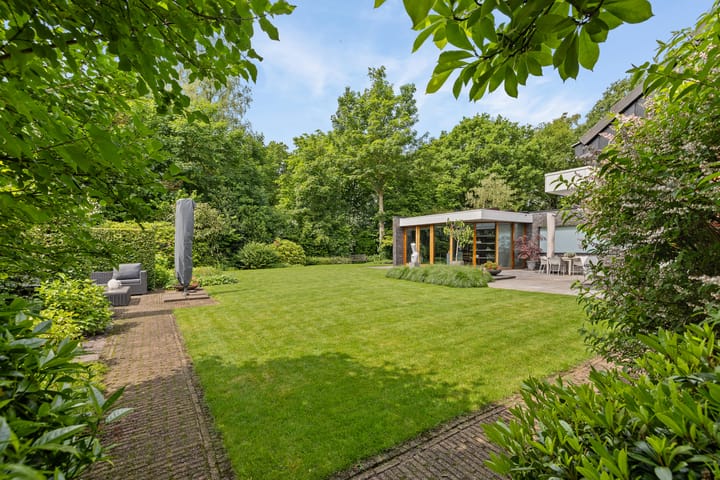 Foto 5 van Dalkruid 4