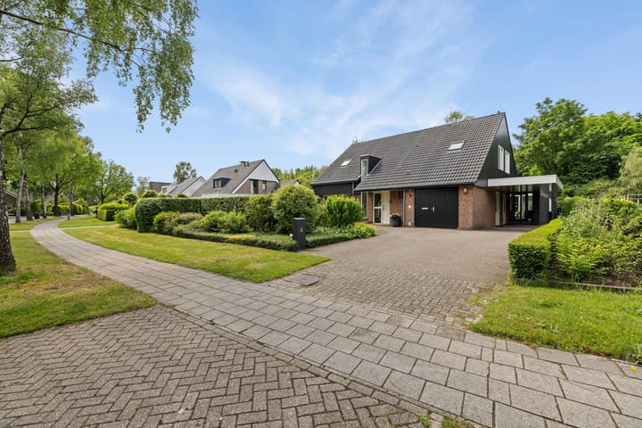 Foto 8 van Dalkruid 4