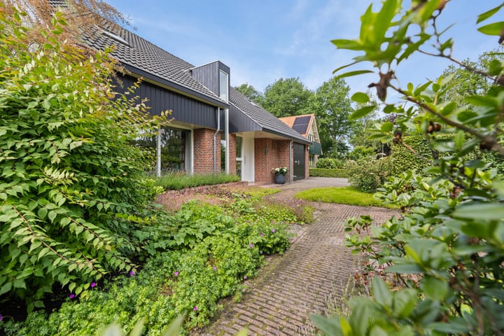 Foto 13 van Dalkruid 4