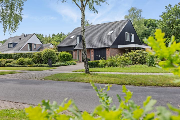 Foto 10 van Dalkruid 4