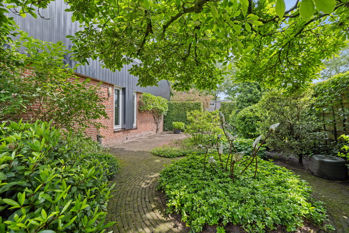 Foto 33 van Dalkruid 4