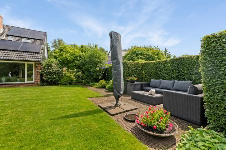 Foto 34 van Dalkruid 4