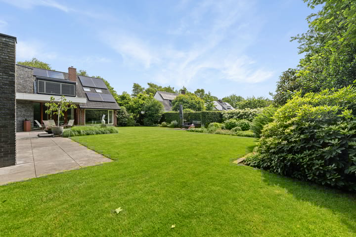 Foto 37 van Dalkruid 4