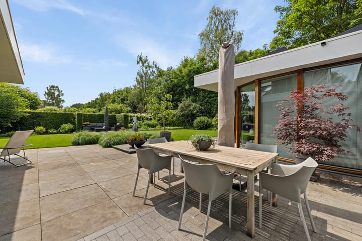 Foto 40 van Dalkruid 4