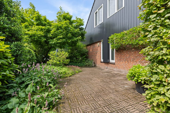 Foto 46 van Dalkruid 4