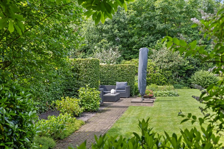 Foto 47 van Dalkruid 4