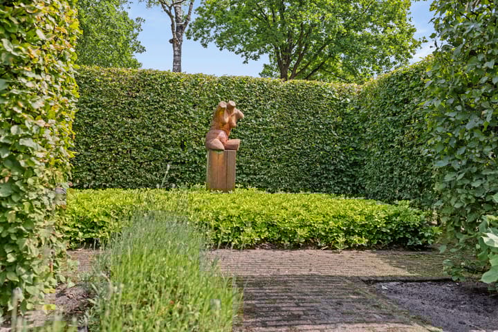 Foto 44 van Dalkruid 4