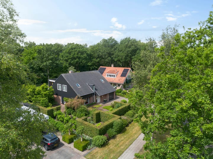 Foto 65 van Dalkruid 4