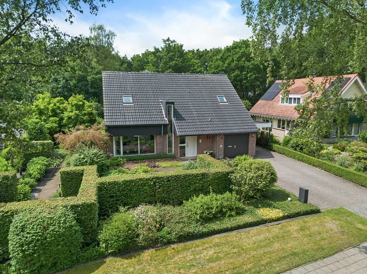 Foto 67 van Dalkruid 4