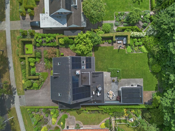 Foto 69 van Dalkruid 4