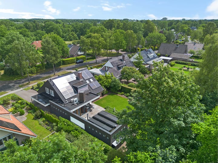 Foto 70 van Dalkruid 4