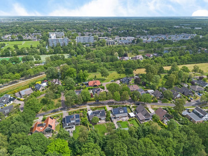 Foto 76 van Dalkruid 4