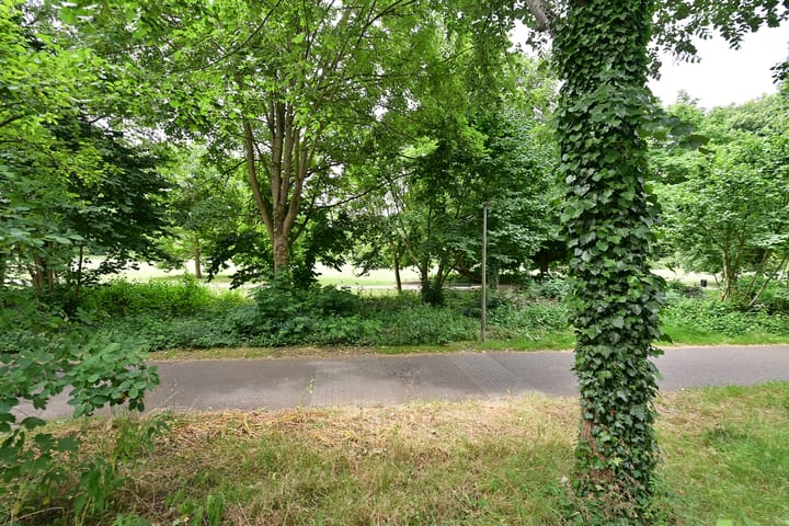 Foto 20 van Gitaarstraat 53