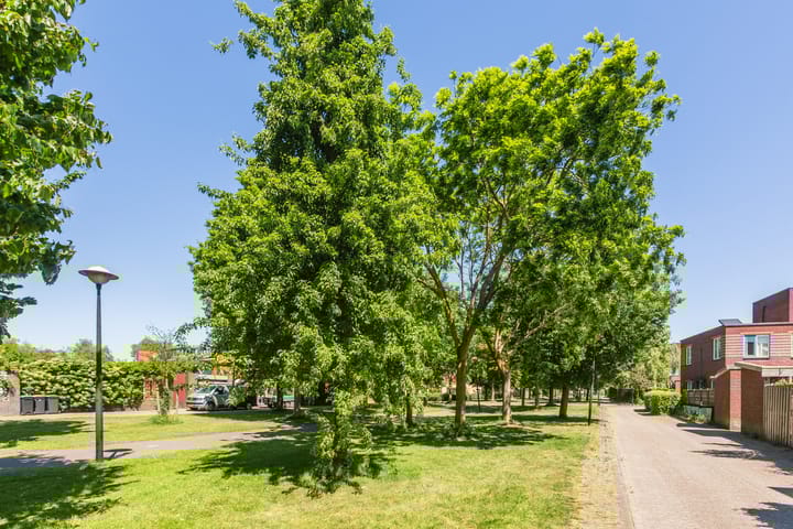 Foto 39 van Winstongaarde 8