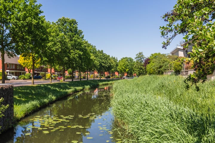 Foto 40 van Winstongaarde 8