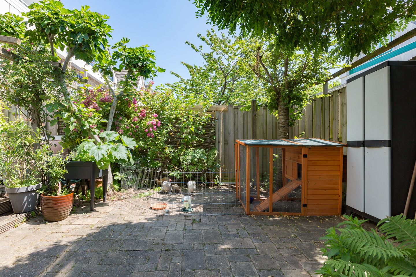 Foto 40 van van Naeldwijcklaan 26