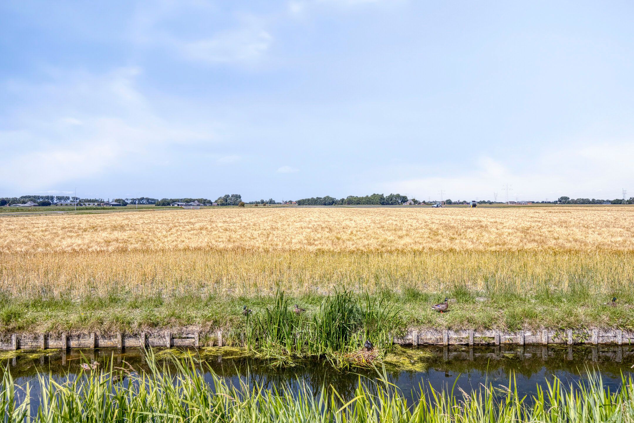 Foto 45 van Buitenkruier 83