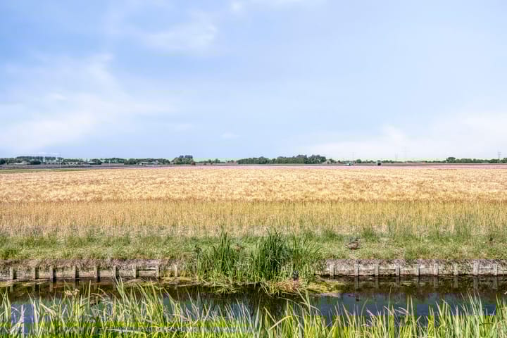 Foto 45 van Buitenkruier 83