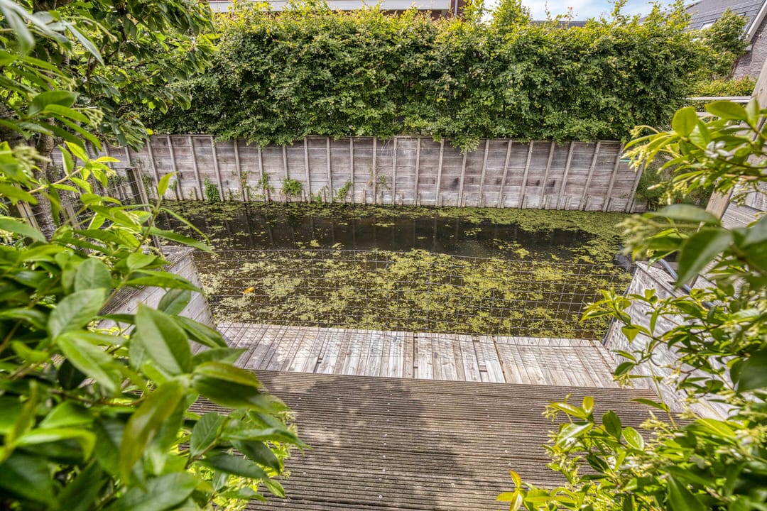 Foto 38 van Buitenkruier 83