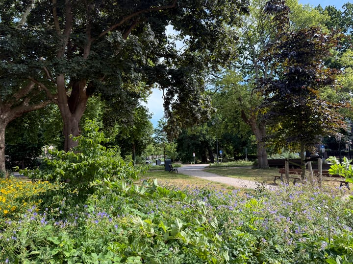 Foto 30 van Hogewoerd 138-B